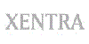 Master e Corsi di XENTRA Business School
