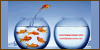 Master e Corsi di Hai Successo.com