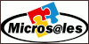 Master e Corsi di Microsales