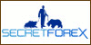 Master e Corsi di Secretforex.it